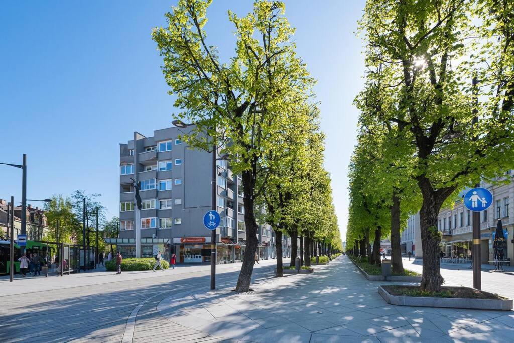 Central 2 Bd Apartment By Hostlovers Каунас Экстерьер фото